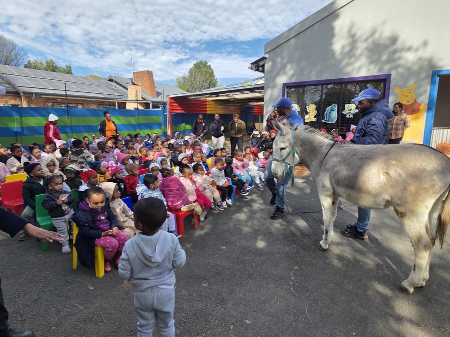 Everyone outside at Little Toddlers Creche